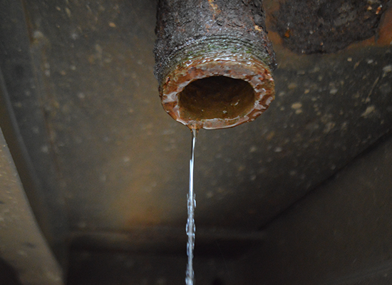 Savanna Springs Water Problems Image Lead